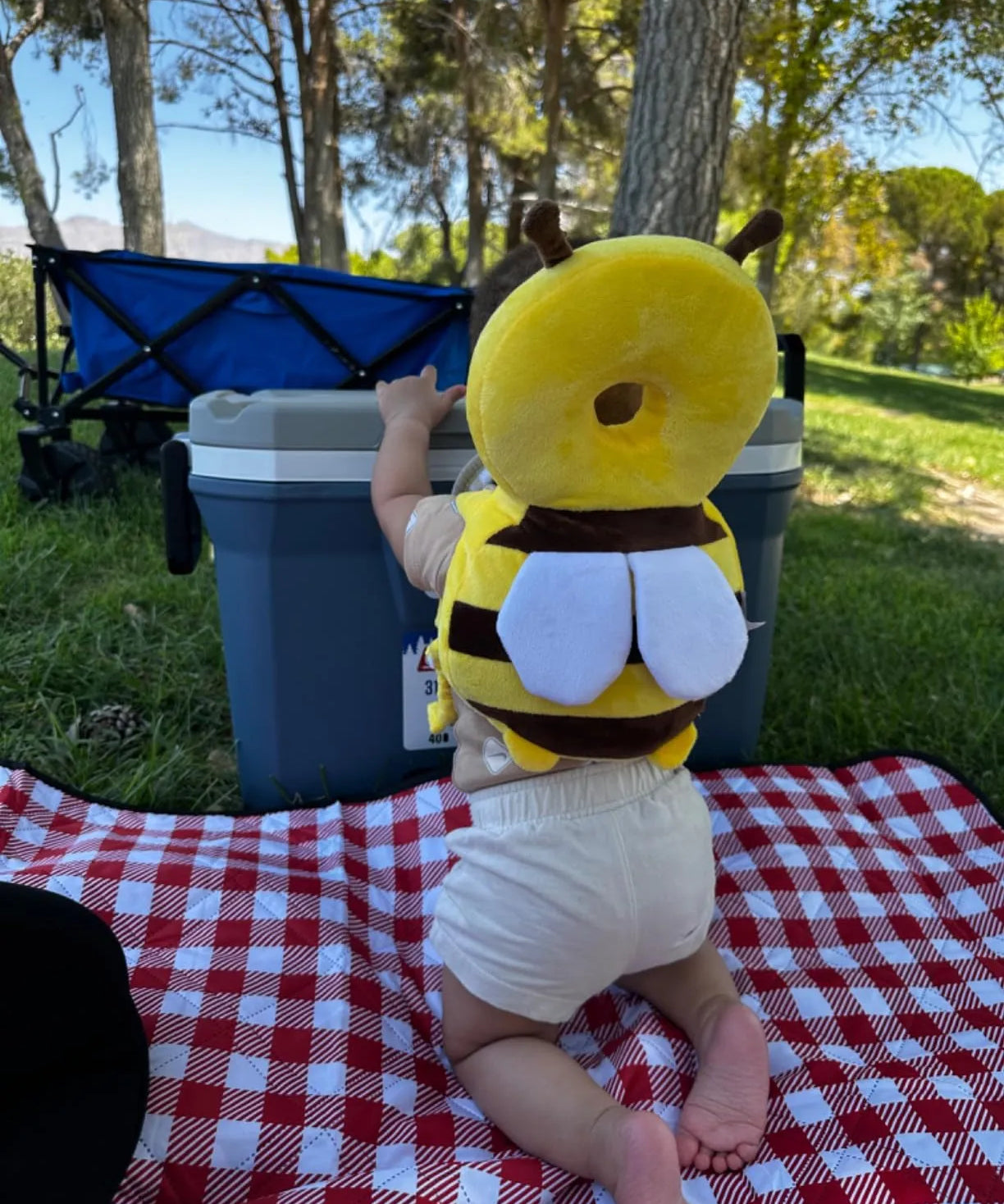 Imagen de diapositiva