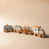 Coffret Petit Train du Conducteur